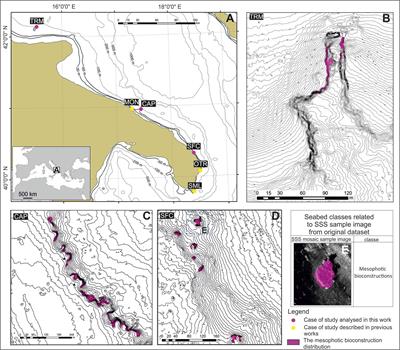 A system of marine animal bioconstructions in the mesophotic zone along the Southeastern Italian coast